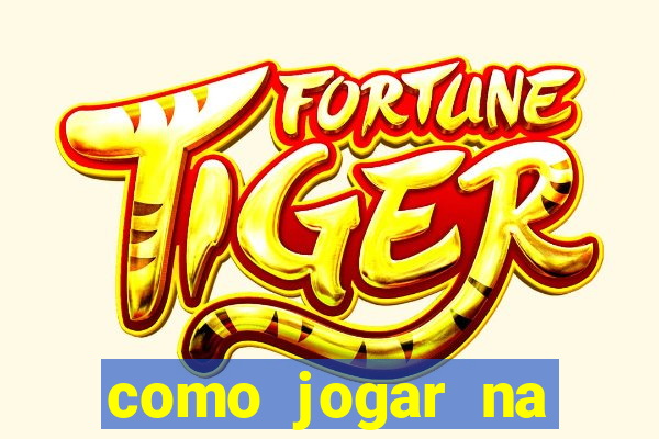 como jogar na lotinha do jogo do bicho